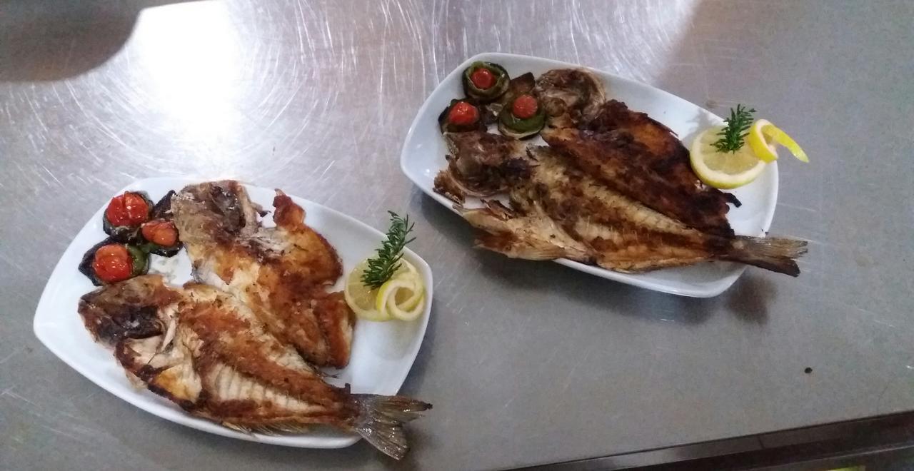 Restaurant Univers Hotel Szkodra